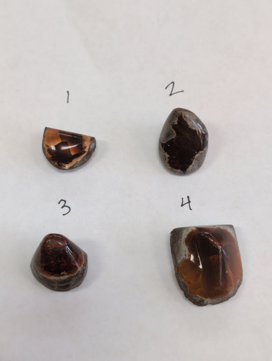 Chocolate Opal Ethiopian Mezezo Shewa Nodule