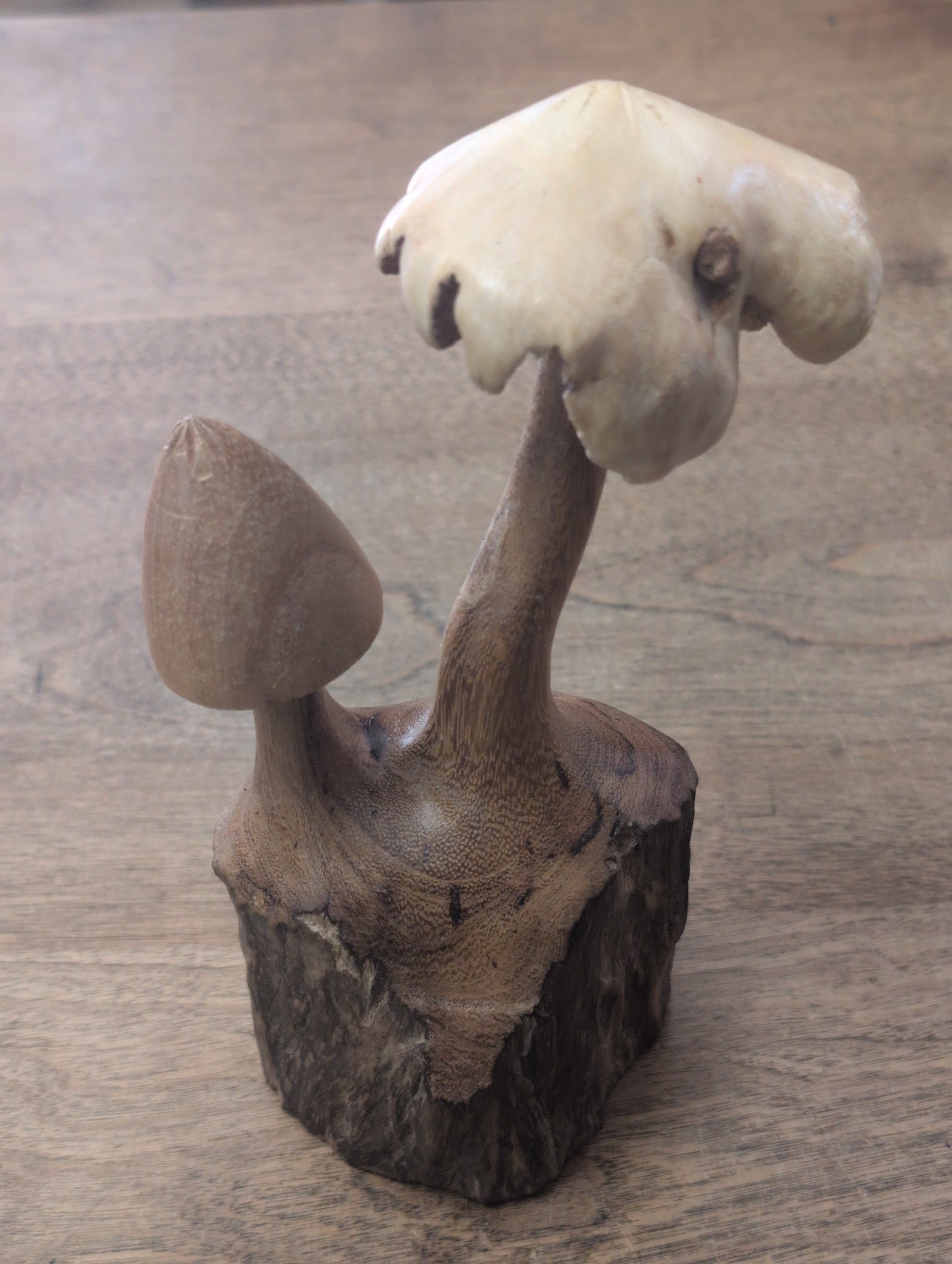 Wooden Mushrooms on Driftwood
