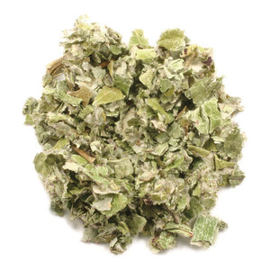 Coltsfoot leaf c/s
