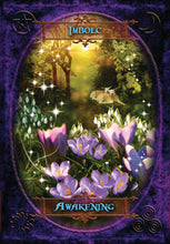 Load image into Gallery viewer, Witches&#39; Wisdom Oracle Cards  BY BARBARA MEIKLEJOHN-FREE, FLAVIA KATE PETERS