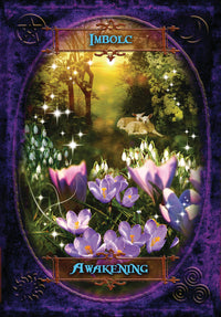 Witches' Wisdom Oracle Cards  BY BARBARA MEIKLEJOHN-FREE, FLAVIA KATE PETERS