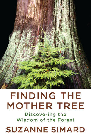 Finding the Mother Tree DISCOVERING THE WISDOM OF THE FOREST Large Print Edition By SUZANNE SIMARD