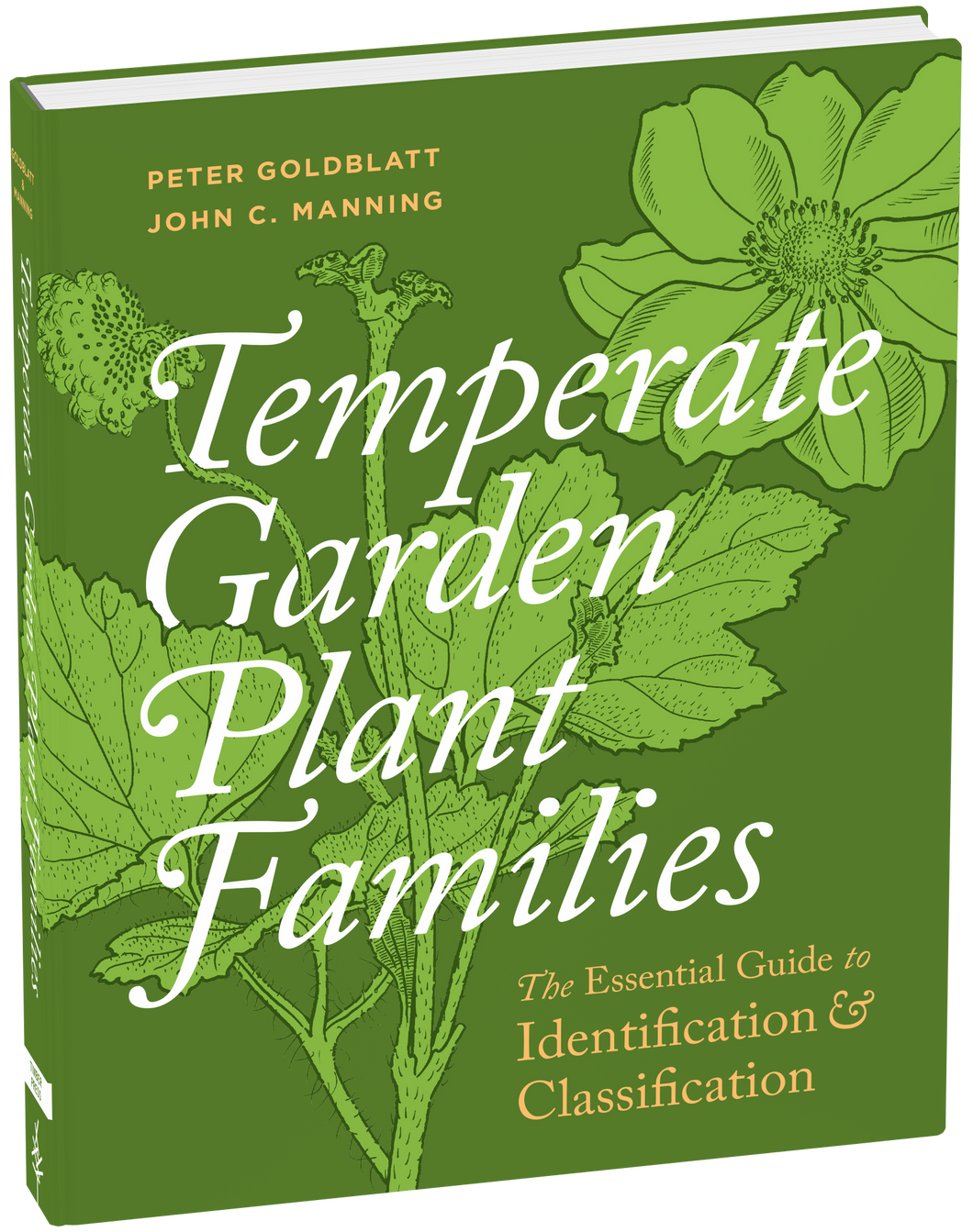 Temperate Garden Plant Families The Essential Guide to Identification and Classification