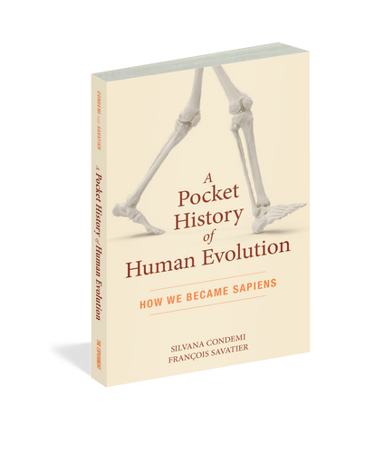 A Pocket History of Human Evolution How We Became Sapiens