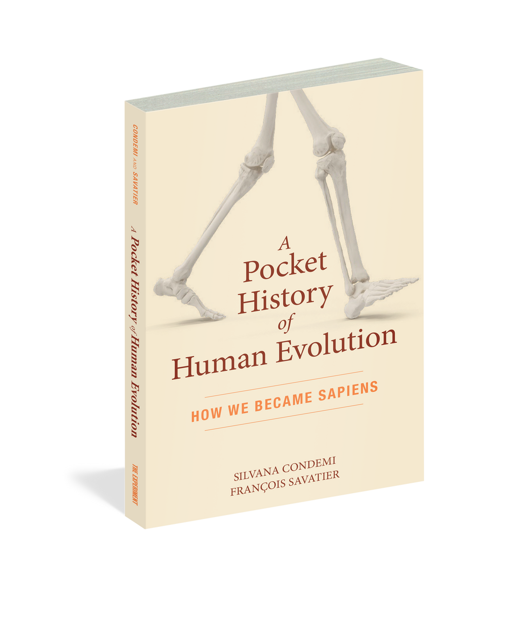 A Pocket History of Human Evolution How We Became Sapiens
