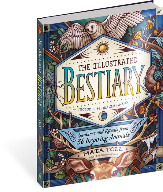 The Illustrated Bestiary Guidance and Rituals from 36 Inspiring Animals