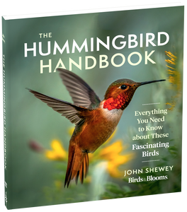 The Hummingbird Handbook Everything You Need to Know about These Fascinating Birds