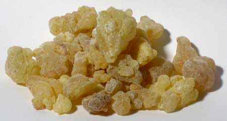 Frankincense Tears Boswellia papyrifera resin