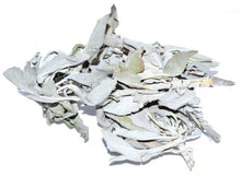 Load image into Gallery viewer, White Sage Smudge Loose (Salvia Apiana)