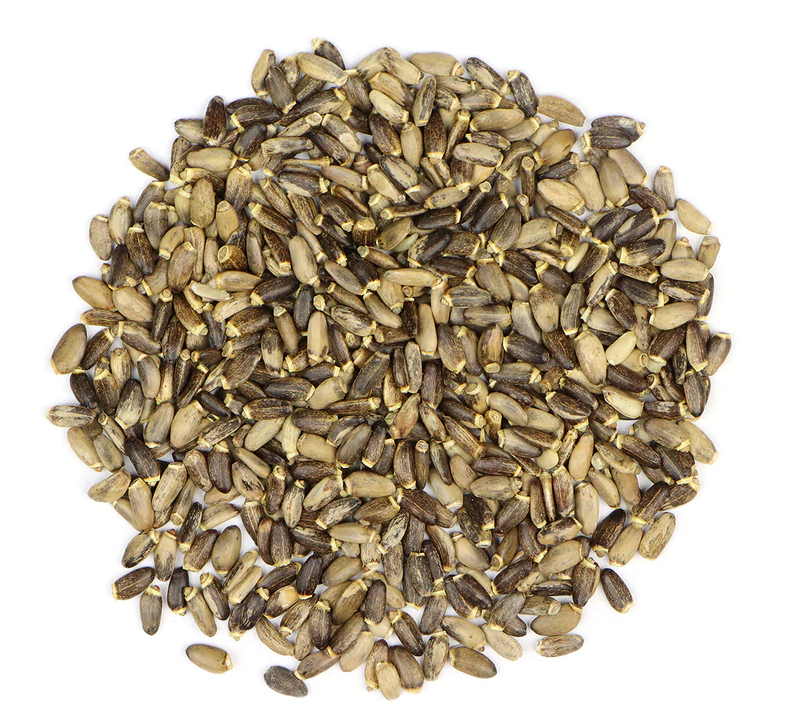 Milk Thistle Seed Organic