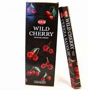 Cherry (Wild) Stick HEM Incense 20 Sticks