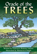 Load image into Gallery viewer, Oracle of the Trees