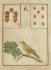 Load image into Gallery viewer, Ur-Lenormand, Lenormand Original, The Primal Lenormand — The Game of Hope