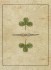 Load image into Gallery viewer, Ur-Lenormand, Lenormand Original, The Primal Lenormand — The Game of Hope