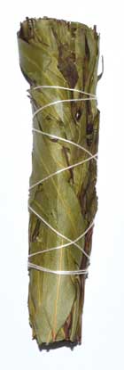 3” Eucalyptus smudge stick