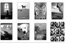 Load image into Gallery viewer, SIMPLE WISDOM OF THE HOUSEHOLD DOG : An Oracle Emily Carding