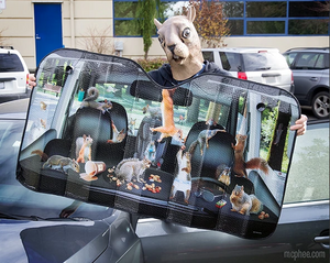 Car Full of Squirrels Auto Sunshade