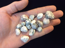 Load image into Gallery viewer, Green Tree Dendritic Agate Tumbled Small