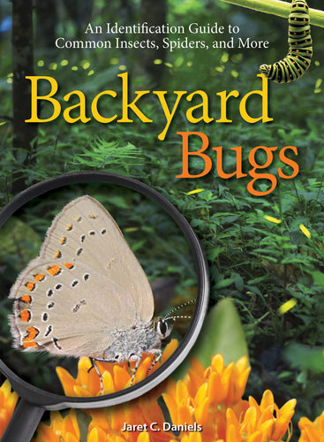 Backyard Bugs An Identification Guide to Common Insects, Spiders, and More