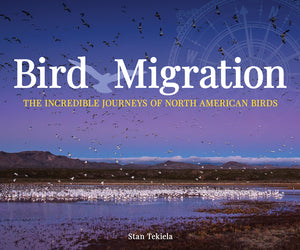 Bird Migration The Incredible Journeys of North American Birds