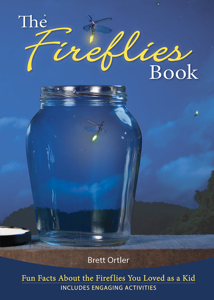 Fireflies Book Fun Facts About the Fireflies You Loved as a Kid