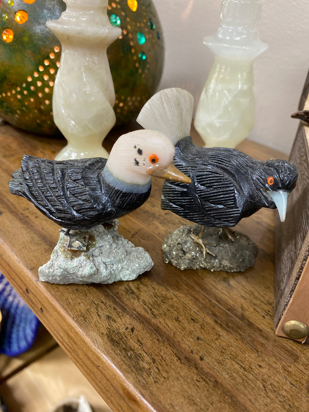 Birds