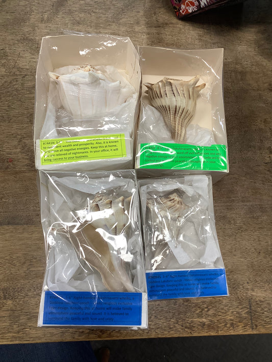 Seashells packaged
