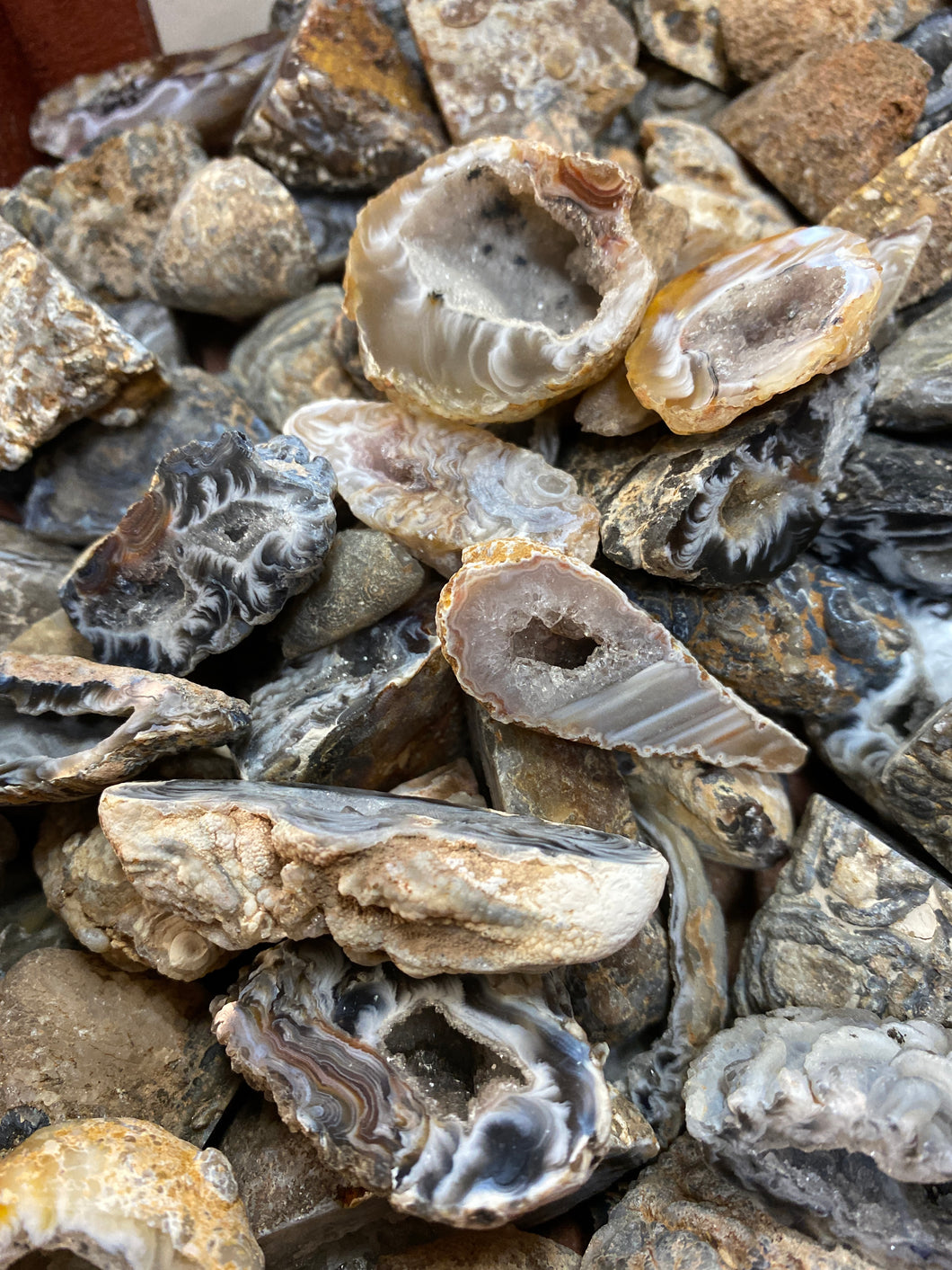 Occa Geodes