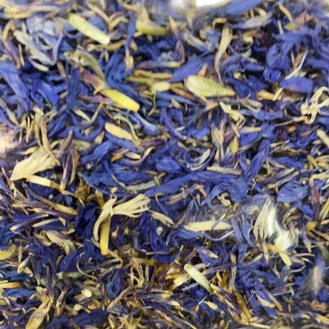 Cornflower