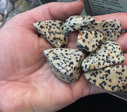 Dalmatian Jasper Tumbled
