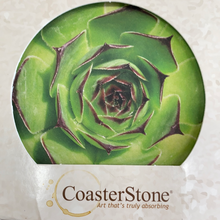 Load image into Gallery viewer, Coaster Stone