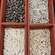 Load image into Gallery viewer, Bone beads assorted