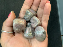 Load image into Gallery viewer, Rhodonite Tumbled
