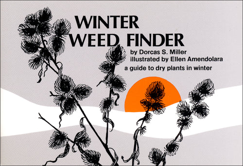 Winter Weed Finder A Guide to Dry Plants in Winter